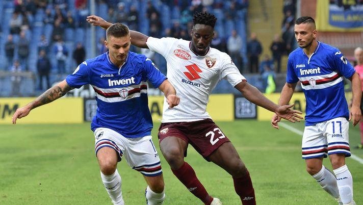 Toro contro la Samp per il riscatto - immagine 1