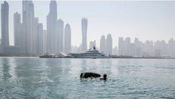 Avventure in barca a vela negli Emirati Arabi e in Italia
