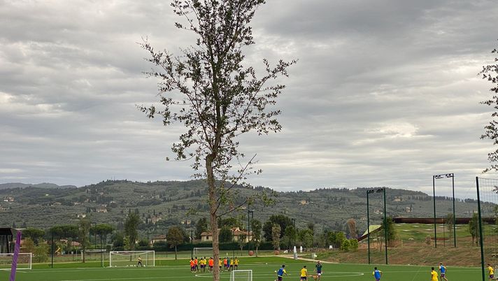 Under 16, Guberti nuovo tecnico: “È il percorso giusto”. Subito al Viola Park - immagine 1