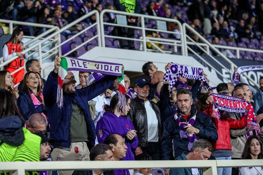 Franchi, il manto erboso regge. E se si gioca la Curva Fiesole cosa fa?- immagine 2