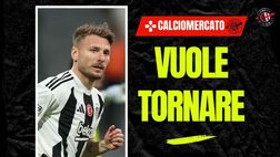 Calciomercato, Immobile verso il Milan? Pedullà fa chiarezza sul tema