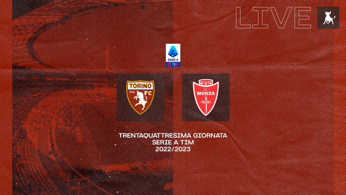 FINALE! Torino-Monza 1-1 - immagine 1