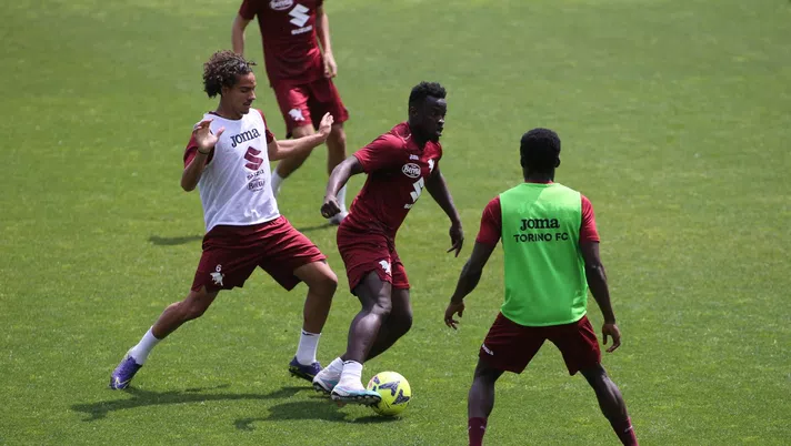 Torino, il pagellone di fine anno: Vieira sv, solo 14 i minuti giocati - immagine 1