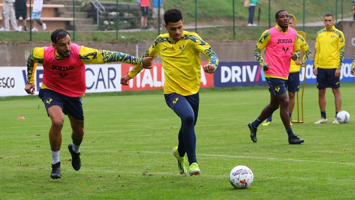 Hellas Verona FC  Mercato, Tavsan alla Reggiana - immagine 1