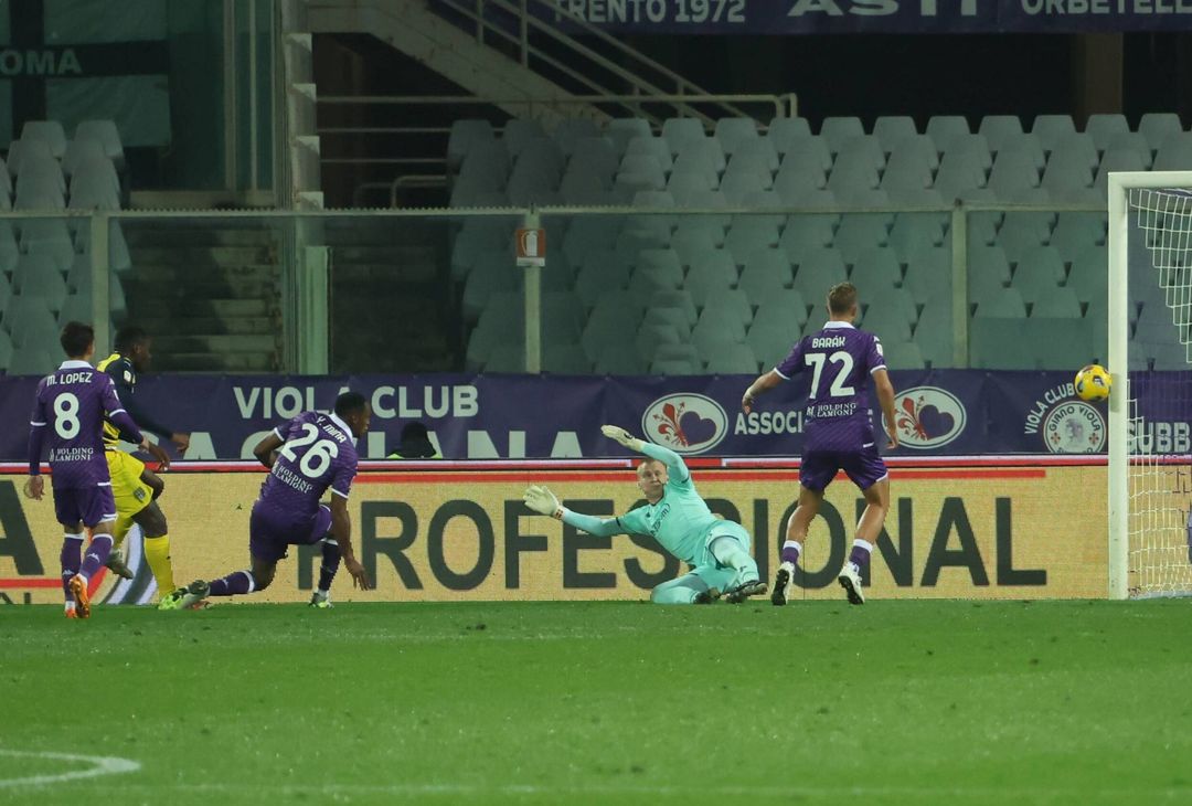 GALLERY VN – Le immagini più belle di Fiorentina-Parma - immagine 14