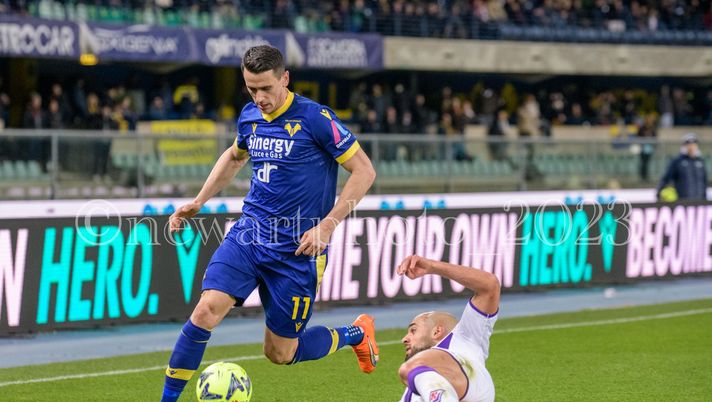 Mercato, Lasagna al Bari  Mercato, Lasagna al Bari - immagine 1