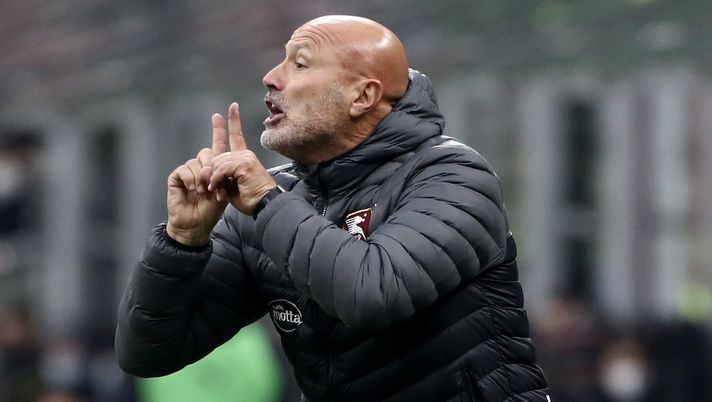 Stefano Colantuono Salernitana