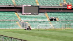 FOTO PALERMO, le condizioni del ‘Renzo Barbera’ pre Serie B 23/24 (GALLERY)
