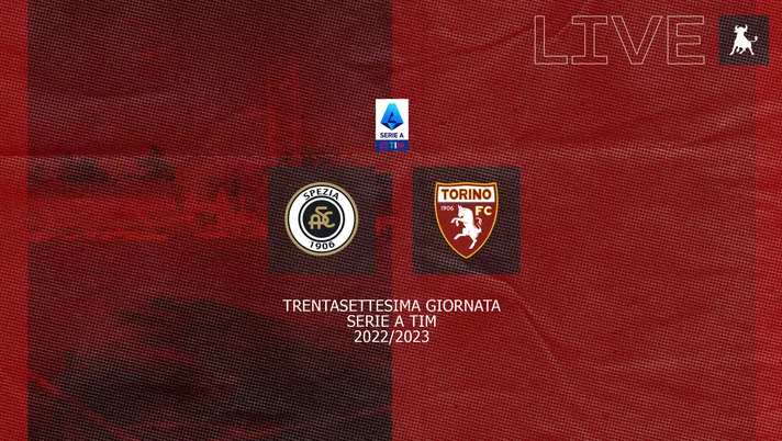 FINALE! Spezia-Torino 0-4 - immagine 1