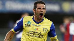Palermo, Pellissier: “Meritano Serie A ma parla il campo. Su Corini la penso così…”