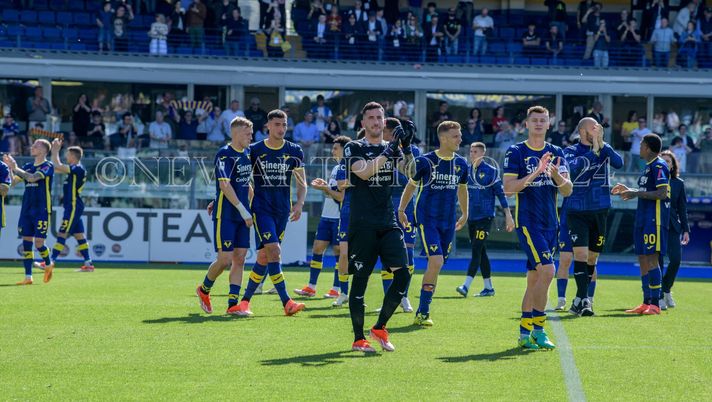 Volpati: “Verona senza paura, la salvezza come uno scudetto”  Volpati: “Verona senza paura, la salvezza come uno scudetto” - immagine 1