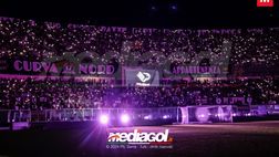 Esodo Granata al Barbera: il dato sorprendente sui biglietti venduti per la sfida Palermo-Salernitana