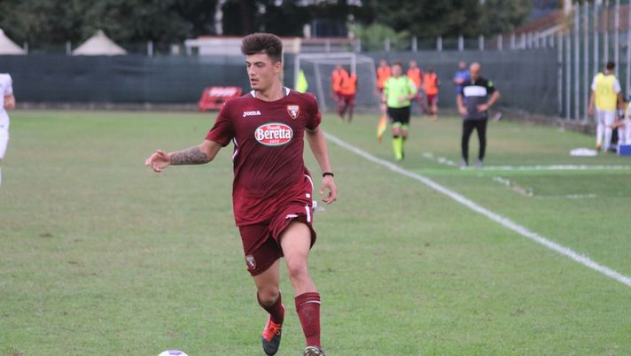 Cancello Torino Primavera