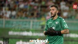 Palermo, agente Pigliacelli: “Mirko top nel ruolo in B, vuole la A con i rosa…”