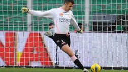 Palermo, con l’Ascoli riflettori su cinque ex: da Viviano e Bellusci a Nestorovski