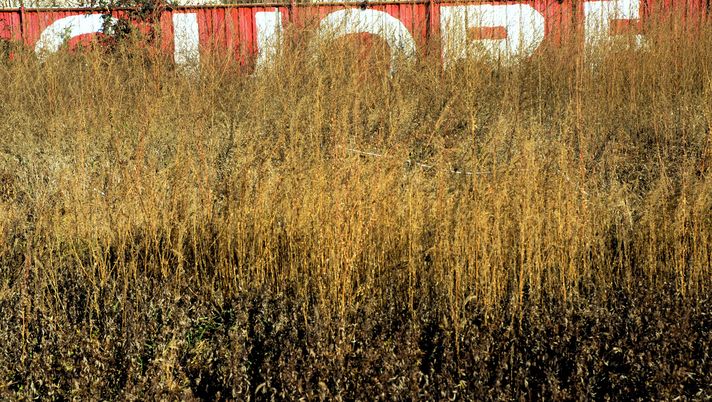 Ragazzi, dovete capirlo Ragazzi, dovete capirlo - immagine 1