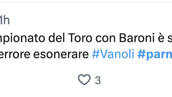 Parma-Torino 2-1, le reazioni social:”Non c’è storia. Un errore cacciare Vanoli” - immagine 1