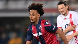 DAI CAMPI – Lukaku, Zirkzee, Vitinha, Schuurs, Harroui, torna Petagna e gli esami di Cerri