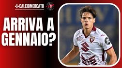 Calciomercato Milan – Ricci arriva a gennaio? Tomori decisivo. E il Torino vuole …