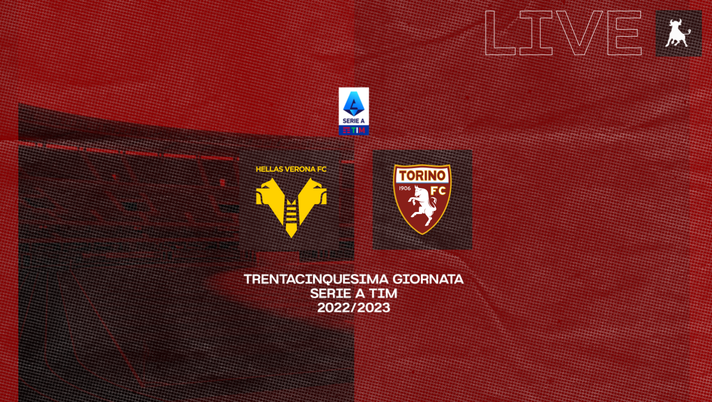 FINALE! Verona-Torino 0-1 - immagine 1