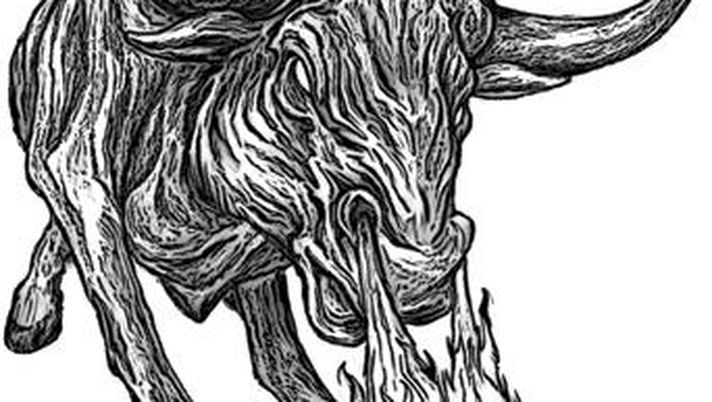 Toro, non ti curar di loro, ma guarda e passa - immagine 1