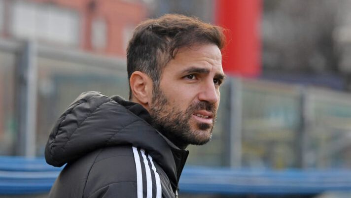 Fabregas: “Paz deve smaliziarsi, Cutrone, Belotti, Strefezza, su Reina e Audero dico…” - immagine 1