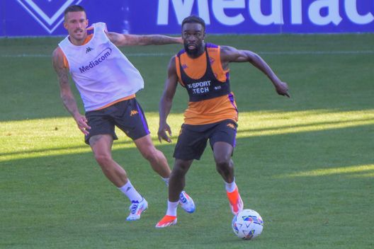 Dai fischi agli applausi: il piano di Ikonè per riprendersi la Fiorentina- immagine 2