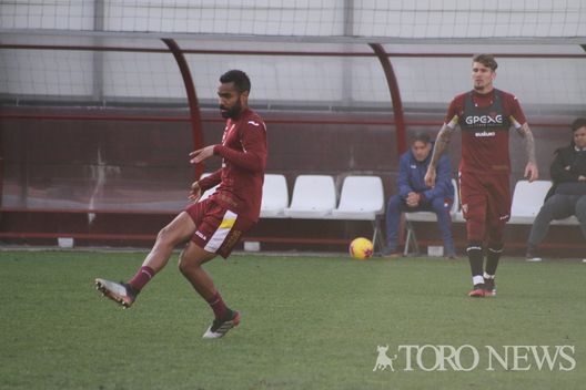 Toro, Djidji a Crotone per rinascere: obiettivo mettersi alle spalle l’infortunio- immagine 2