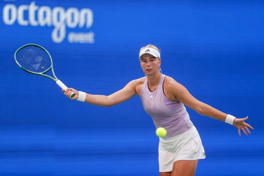 WTA Adelaide: dove vedere il torneo di tennis in streaming gratis e diretta tv- immagine 5