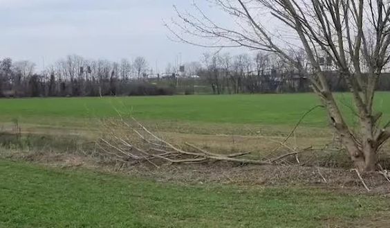 Inter, il nuovo stadio sarà a Rozzano: strada spianata, addio al progetto con il Milan- immagine 2