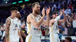 Eurolega, la finale è Panathinaikos-Real Madrid: chi vince?