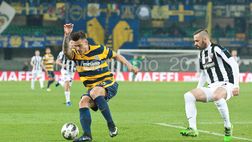 Ufficiale, Cappelluzzo al Pescara