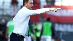 Ceravolo conferma: “Palladino-Firenze? Destinato al salto di qualità”