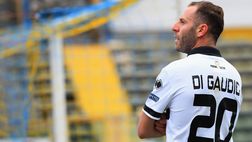 Di Gaudio: “Il Palermo non è scarso, serve una scintilla. Ho parlato con Insigne…”