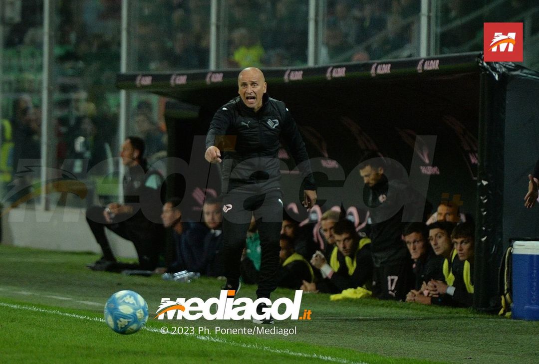 FOTO Palermo-Catanzaro 1-2, 15ª giornata Serie B 2023-2024 (GALLERY) - immagine 2