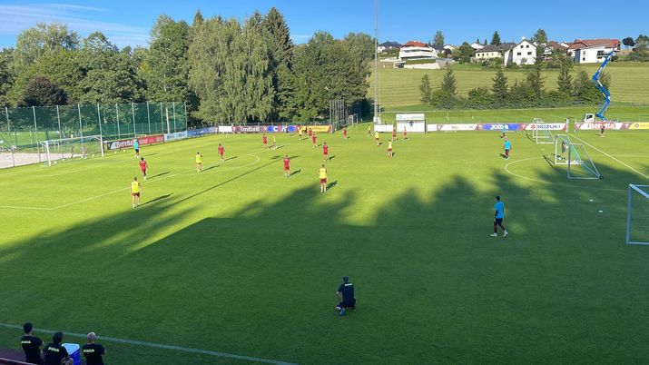 Toro, seduta pomeridiana a Bad Leonfelden Toro, seduta pomeridiana a Bad Leonfelden - immagine 1