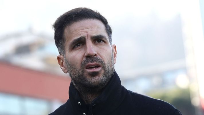 Como, Fabregas polemico: 'Qua piace tanto il risultatismo quindi...'