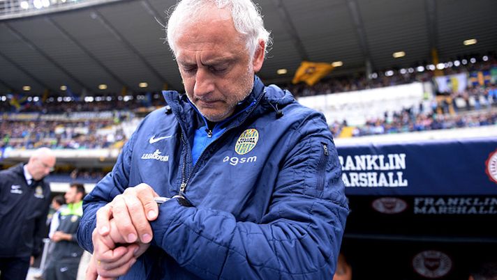 Mandorlini-Verona, il saluto dell’Hellas  Mandorlini-Verona, il saluto dell’Hellas - immagine 1