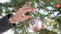 Palermo, “Promo Xmas”: tariffa speciale per le gare contro Pisa e Cremonese