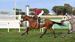 Il baio di Max Allegri nel Premio Campidoglio alle Capannelle: 2′ posto per Mr Darcy