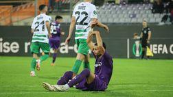 Mandragora, sospiro di sollievo: ecco quanto starà fuori