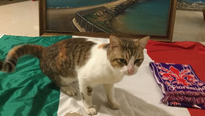 Il Giglio tifa l’Italia contro la Bosnia - immagine 1