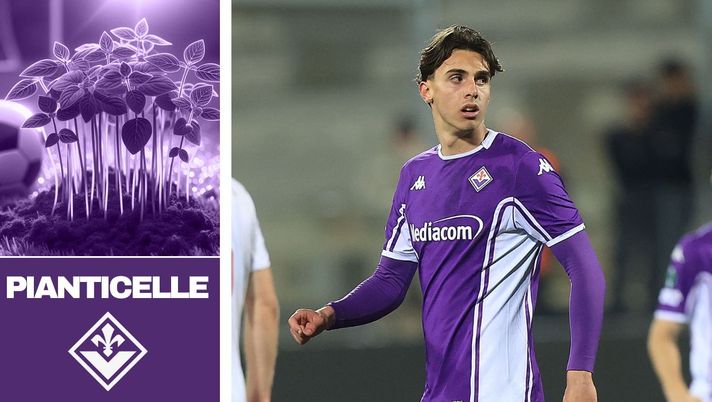 Braschi unico attaccante a disposizione? Una storia tutta viola fino al debutto - immagine 1