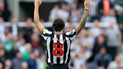 ‘I wanna dance with Tonali’, il coro dei tifosi del Newcastle | VIDEO