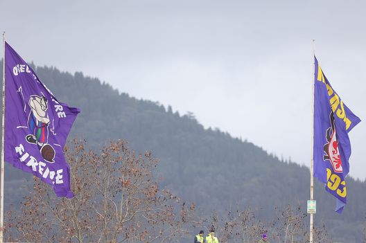 Il Dall’Ara si tinge di viola: attesi più di mille tifosi della Fiorentina- immagine 2