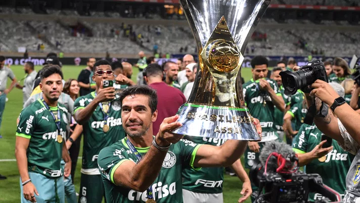 Brasile, il Palmeiras è di nuovo campione: Santos in B per la volta nella storia - immagine 1