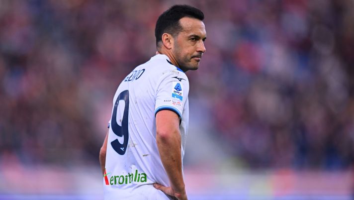 Pedro