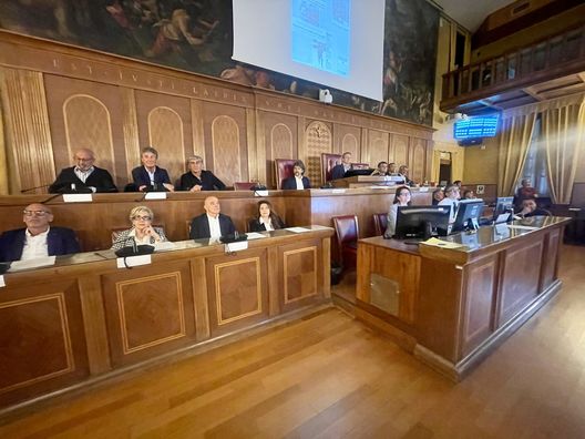 Cittadinanza benemerita al Verona Campione, le immagini e le parole dei protagonisti- immagine 4