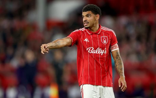 Nottingham Forest, Gibbs-White in Tribunale: non ha registrato il suo cane illegale- immagine 2
