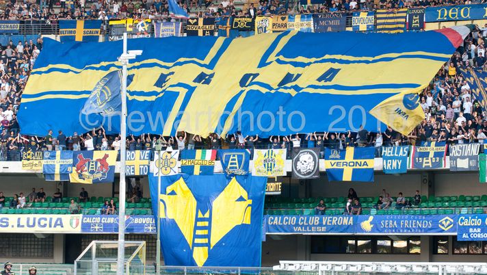 Veronesi a Pisa: è tutto esaurito Veronesi a Pisa: è tutto esaurito - immagine 1